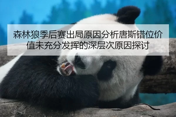 森林狼季后赛出局原因分析唐斯错位价值未充分发挥的深层次原因探讨