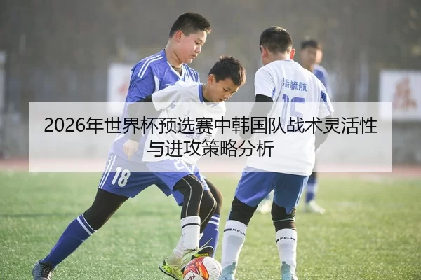 2026年世界杯预选赛中韩国队战术灵活性与进攻策略分析