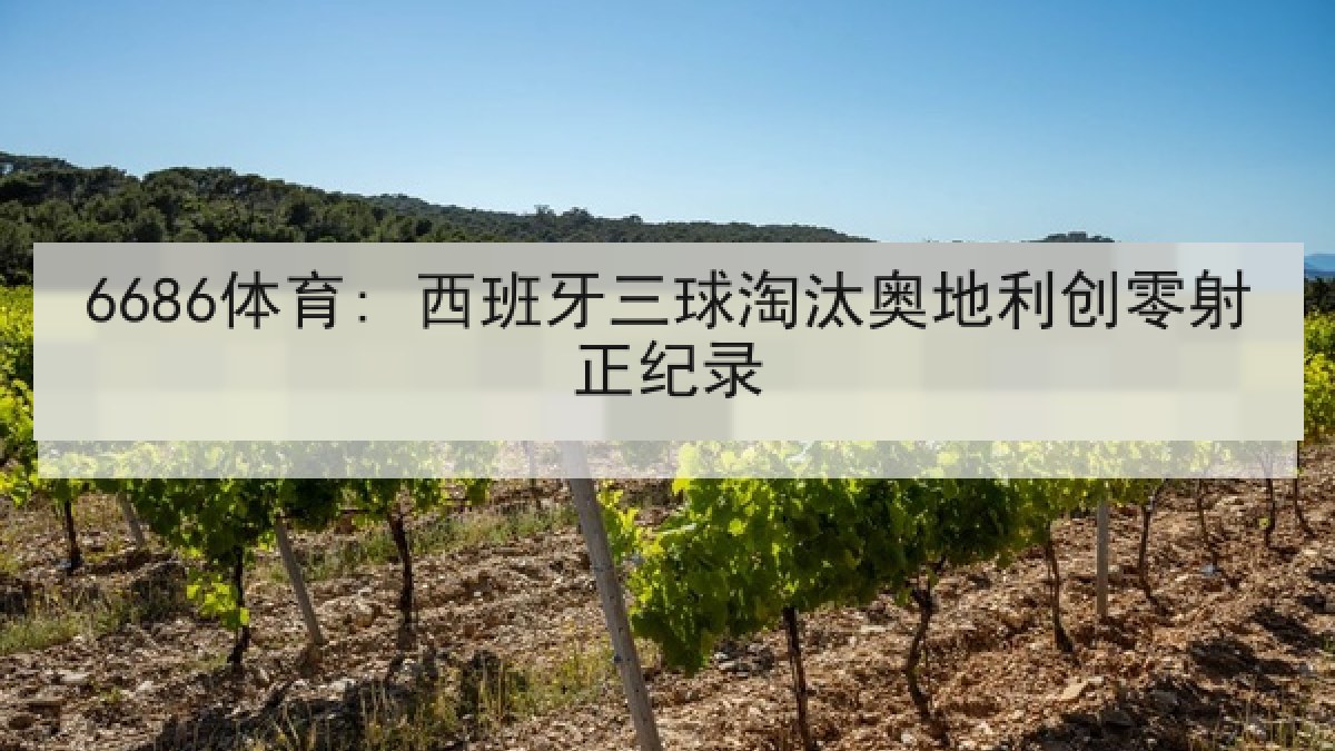 6686体育: 西班牙三球淘汰奥地利创零射正纪录 6686体育: 西班牙三球淘汰奥地利创零射正纪录